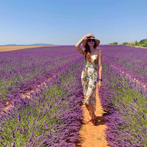 lavender_header_image_11zon